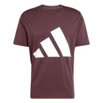 Tricou cu Mânecă Scurtă Bărbați Adidas Big Logo Sj Castaniu