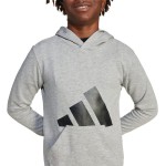 Hanorac cu glugă pentru fete Adidas Big Logo French Terry Hd Gri deschis