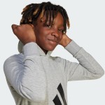 Hanorac cu glugă pentru fete Adidas Big Logo French Terry Hd Gri deschis