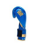 Mănuși de box Leone 1947 Dna