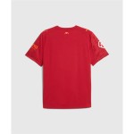 Tricou de Fotbal cu Mânecă Scurtă pentru Copii Puma 948282 05 Roșu (5-6 Ani)