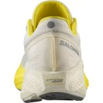 Încălțăminte de Running pentru Adulți Salomon Aero Glide 3 Galben