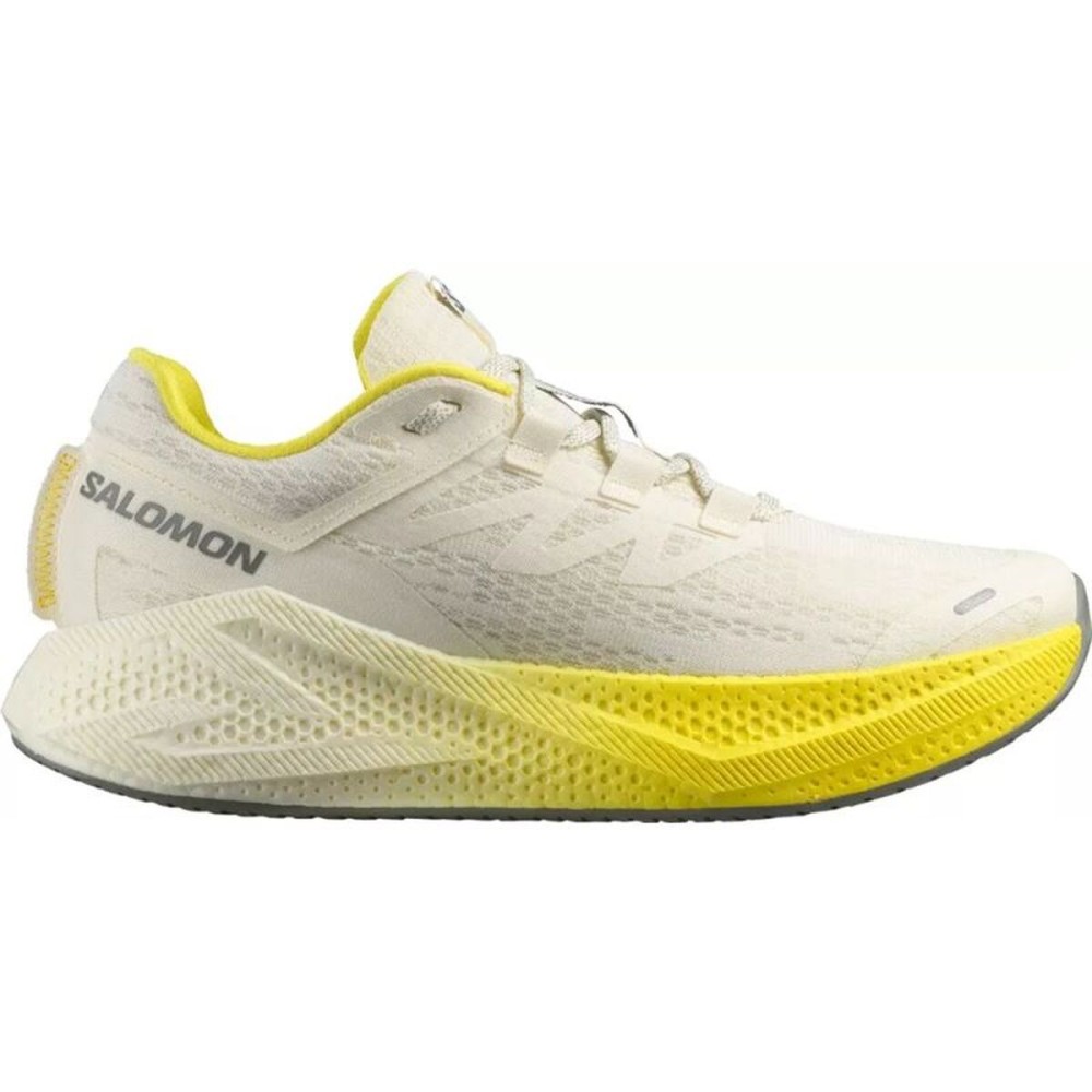Încălțăminte de Running pentru Adulți Salomon Aero Glide 3 Galben