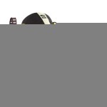 Pantofi trail pentru bărbați (alergare montană) Salomon Xa Pro 3D V9 Gtx Maro Deschis