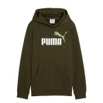Hanorac cu Glugă Copii Puma Essentials 2 Color No.1 Log Verde inchis Măslină