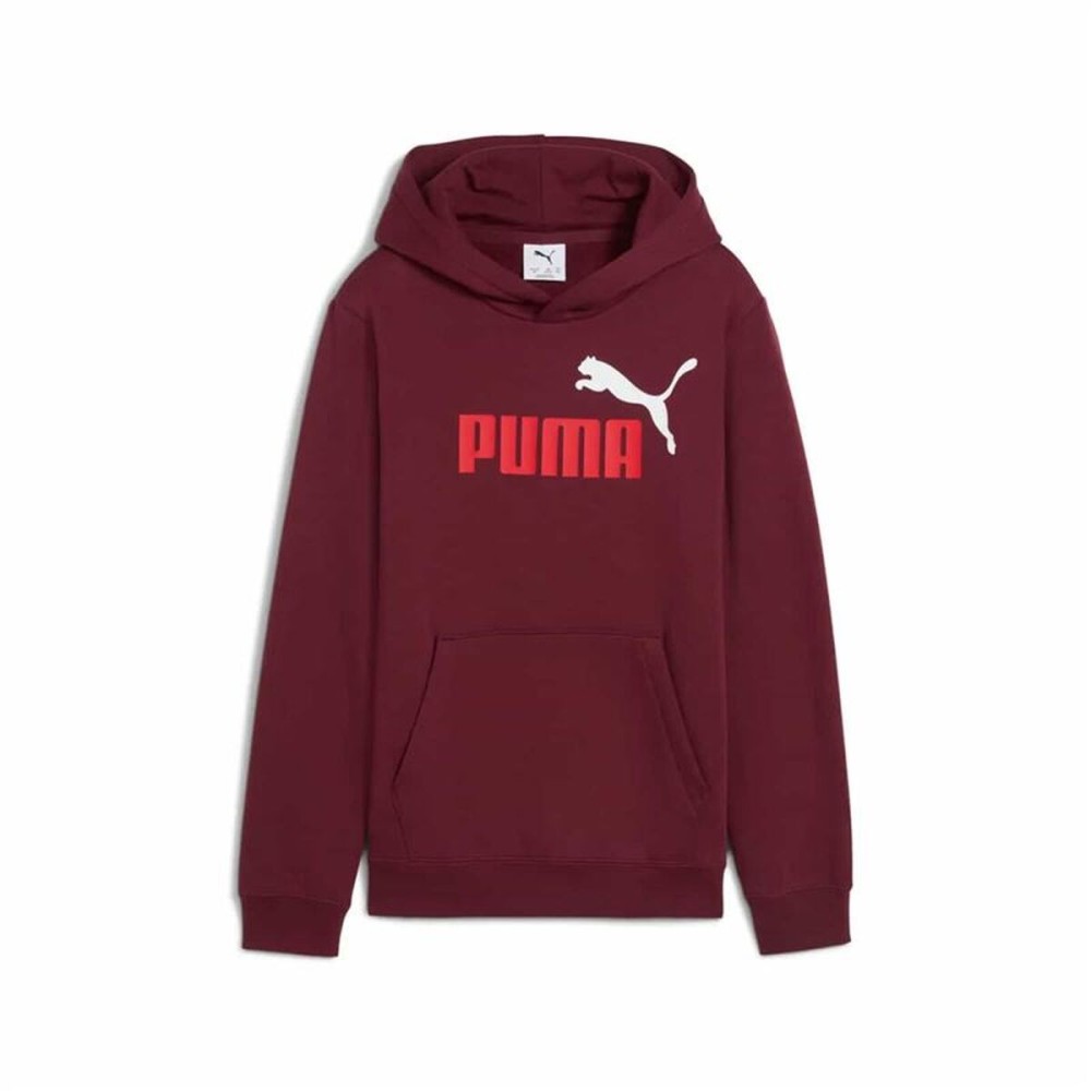 Hanorac cu glugă pentru fete Puma Essentials 2 Color No. 1 Castaniu