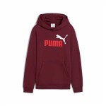 Hanorac cu glugă pentru fete Puma Essentials 2 Color No. 1 Castaniu