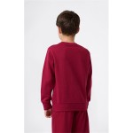 Hanorac fără Glugă Copii Champion Graphic Shop Castaniu Roșu Închis