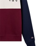 Hanorac fără Glugă Bărbați Champion Icons Plus Bleumarin