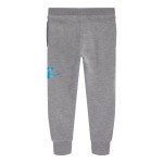 Pantaloni lungi de sport Nike Metallic HBR Gifting Gri