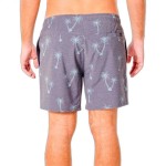 Costum de Baie Bărbați Rip Curl CBOSY9-8264 Albastru