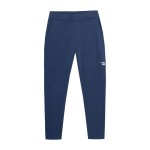 Pantaloni lungi de sport 4F SPMD013 Albastru Bărbați