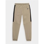 Pantaloni lungi de sport 4F JSPMD002 Maro
