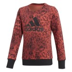 Hanorac fără glugă pentru fete Adidas YG Crew Sweat Somon