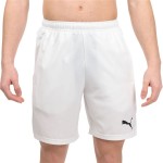 Pantalon Scurt Sport Puma Teamligadel Padel