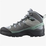 Cizme de munte Salomon Quest Rove Gore-Tex Gri