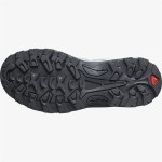 Cizme de munte Salomon Quest Rove Gore-Tex Gri