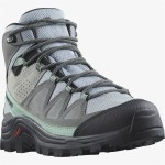 Cizme de munte Salomon Quest Rove Gore-Tex Gri