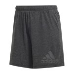 Pantaloni Scurți Sport pentru Damă Adidas Future Icons Winners Gri închis