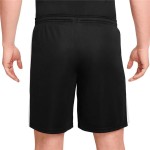 Pantaloni Scurți Sport pentru Bărbați Nike Dri-Fit Academy Soccer Negru