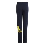 Pantaloni Sport pentru Copii Adidas