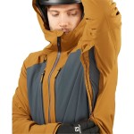 Geaca de ski Salomon LC1583400 Auriu* Bărbați