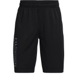 Pantaloni Scurți Sport pentru Copii Under Armour Prototype Negru