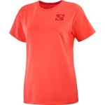 Tricou cu Mânecă Scurtă Bărbați Salomon Outlife Small Logo Roșu