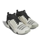 Încălțăminte de Baschet pentru Adulți Adidas IF5609 Negru