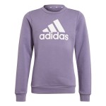 Hanorac fără Glugă Femei Adidas G Bl Swt Violet