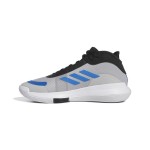 Încălțăminte de Baschet pentru Adulți Adidas Bounce Legends Gri deschis