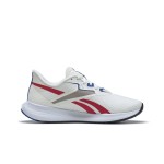 Încălțăminte de Running pentru Adulți Reebok HP9299