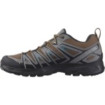 Încălțăminte Sport Bărbați Salomon L41669800 Maro