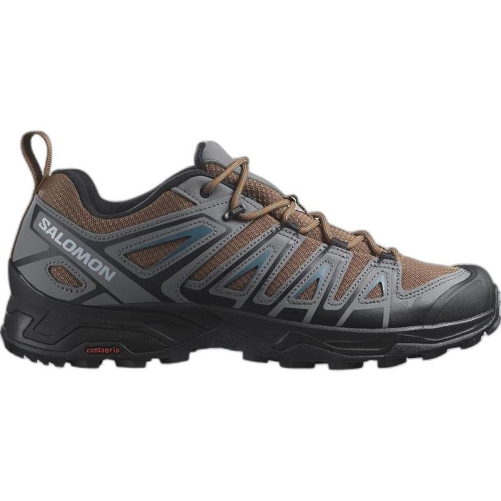 Încălțăminte Sport Bărbați Salomon L41669800 Maro