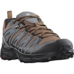 Încălțăminte Sport Bărbați Salomon L41669800 Maro