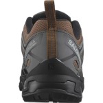 Încălțăminte Sport Bărbați Salomon L41669800 Maro