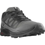 Încălțăminte Sport Bărbați Salomon L47143100 Negru