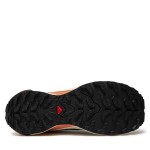 Încălțăminte Sport Bărbați Salomon L47451900 Negru