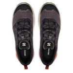 Încălțăminte Sport Bărbați Salomon L47451900 Negru