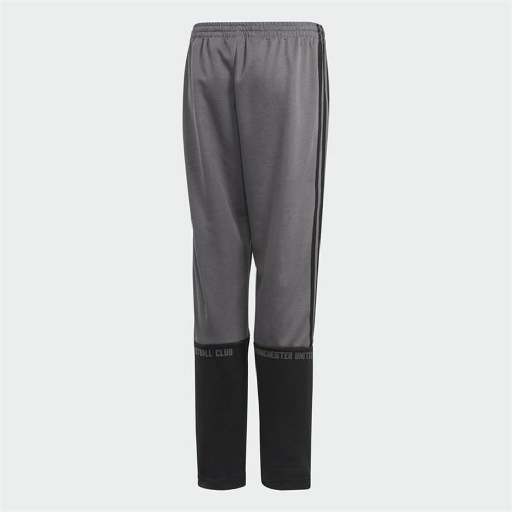 Pantaloni Sport pentru Copii Adidas Manchester United Gri