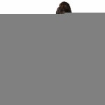 Tricou cu Mânecă Scurtă Femei Reebok Floral Easy Crossfit Alb