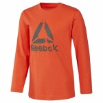Tricou cu Mânecă Lungă Copii Reebok Boys Training Essentials Portocaliu