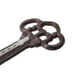 Termometru ambiental Ferrestock Forjare