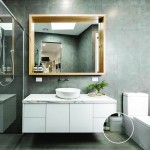 Pompă de apă SFA Saniaccess 3