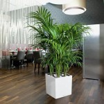 Ghiveci cu auto-udare Lechuza Alb 40 x 40 cm polipropilenă Plastic