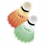 Paletă de badminton Schildkröt