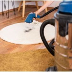 Înlocuitor pentru mopuri Scheppach PRB300 18 x 10 x 27 cm