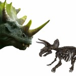 Joc de Excavare SES Creative Triceratops