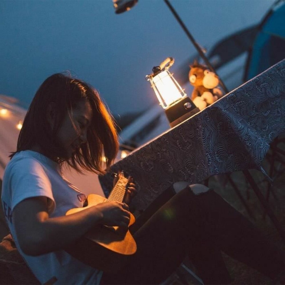 Lucerna Lumisky WILDY