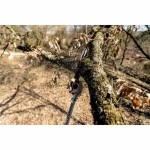 Fierăstrău pentru drujbă Metabo MA-MS 25